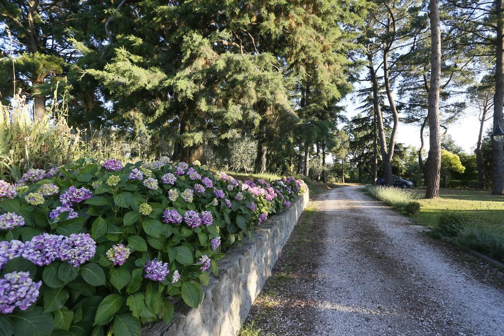 Villa Degli Ulivi Viterbo Exterior foto